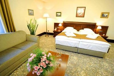 Andrassy Residence Tarcal  - przestrzenny pokój hotelowy w atrakcyjnej cenie blisko Tokaj - ✔️ Andrassy Kúria Tarcal 5* ✔️ veekend welness Tarcal