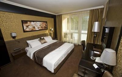 Pokoje w Hoetlu Delibab - zakwaterowanie w Hajduszoboszlo - ✔️ Hotel Délibáb, Hajdúszoboszló**** ✔️ Hotel Spa Délibáb
