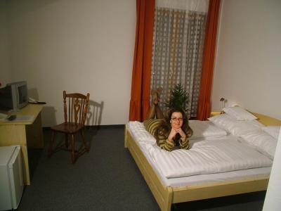 Hotel Hajnal Mezokovesd - weekend rodninny termal welness - Kąpelisko Zsori furdo - ✔️ Hotel Hajnal Mezőkövesd ✔️ Hotel wellness w Mezőkövesd