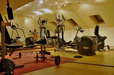 Sala fitnesowa w 4 gwiazdkowym Hotelu Palace Héviz  - ✔️ Hotel Palace Hévíz**** ✔️ Pałace wellness Hotel Héviz