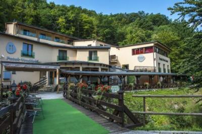 Patak Park Hotel Visegrad - Czterogwiazdkowy hotel z dunajską panoramą poleca promocji online rezerwacji - ✔️ Patak Park Hotel*** Visegrád - Tanie pokoje hotelowe na Węgrzech - Hotel Park Visegrad z widokiem na Dunaj